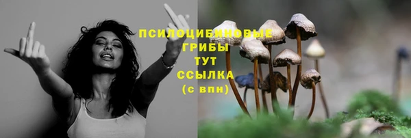 МДПВ Елизово