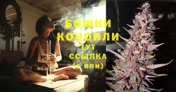 МДПВ Елизово