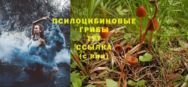 мескалин Ельня