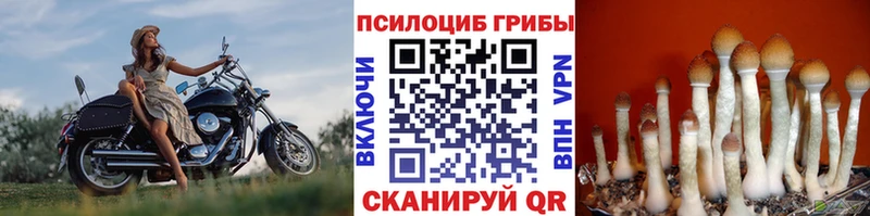 Галлюциногенные грибы мухоморы  Купить  Владивосток 
